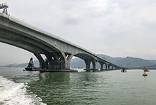 The Hong Kong-Zhuhai-Macau Bridge. Фото: ru.wikipedia.org