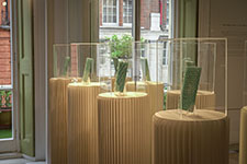 Стеклянная плитка Thames Glass. Изображение © Bureau de Change