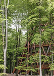 Camp Adventure Forest Tower.   Rasmus Hjortshoj