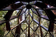Pinecone Treehouse. Фото © Alissa Kolom