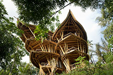 Бамбуковый ажурный дом в джунглях - пример устойчивой архитектуры на Бали