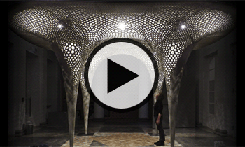 Видео лекции "Метаморфозы: от материала к архитектуре"