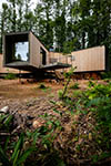 Дизайн деревянного дома. House in the Forest. Фото © Florian Bush Architects