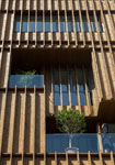 Офисное здание с солнцезащитными ламелями, южный фасад. Фото: lp2-arch.com