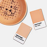 Цвет Peach Fuzz. Изображение: Pantone, plastic chip