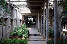Индийский институт управления, Бангалор. Фото: VSF