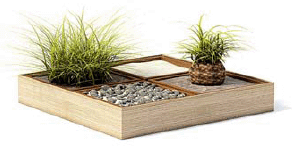 бесплатная 3d модель растения