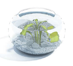 бесплатная 3d модель растение в вазе
