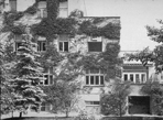 Дом Scheu в Вене (1912) , Адольф Лоос